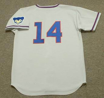Ernie Banks Chicago Cubs 1968 Away Throwback Baseball Stitched Jersey | CTJS2126