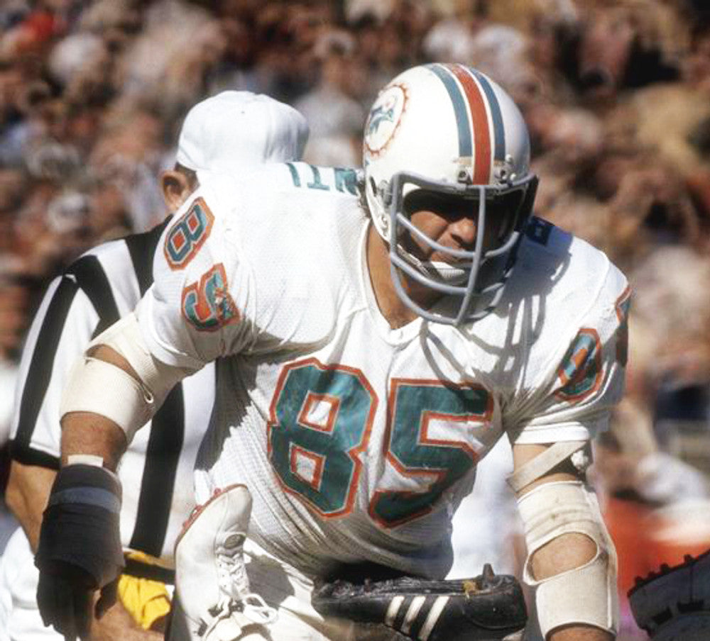 Miami Dolphins Undefeated NFL jersey front view