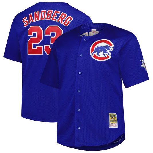 Ryne Sandberg Chicago Cubs M & N Big & Tall Cooperstown Mesh Batting Practice Jersey - Royal | Stitched Baseball Jersey TJS0145