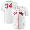 David Ortiz Boston Red Sox M & N Big & Tall Home Player Jersey - White | Stitched Baseball Jersey TJS1700