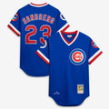 Ryne Sandberg 1984 Chicago Cubs M & N Throwback Jersey - Royal | Stitched Baseball Jersey TJS1691