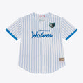 Minnesota Timberwolves M & N Head Coach Pinstripe Mesh Full-Button Baseball Jersey - White Basketball TJS0619