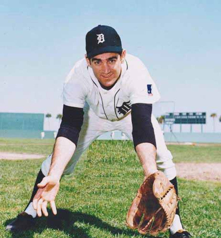 Dick Mcauliffe Detroit Tigers 1969 Home Throwback Baseball Stitched Jersey | CTJS2267