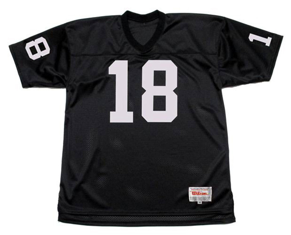 Oakland Raiders Randy Moss NFL jersey front view
