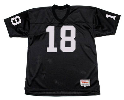 Oakland Raiders Randy Moss NFL jersey front view