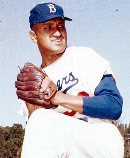 Don Newcombe Brooklyn Dodgers Cooperstown Throwback Baseball Stitched Jersey | CTJS2230