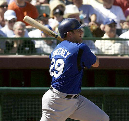Mike Sweeney Kansas City Royals 2002 Alternate Throwback Baseball Stitched Jersey | CTJS1026